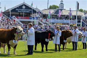 Picture c/o Royal Welsh Show Facebook Page